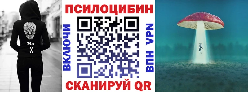 Купить где  Бежецк  Псилоцибиновые грибы Psilocybe 